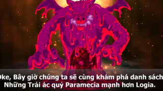 Trái ác quỷ hệ Paramecia mạnh hơn Logia One Piece p2