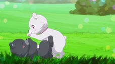 KUMA BEAR S2 E02 SUB INDO