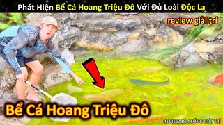 Phát Hiện Bể Cá Hoang Triệu Đô Với Đủ Loài Cực Kỳ Độc Lạ || Review Giải Trí Đời Sống