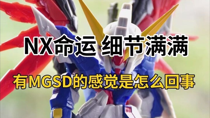 【把玩分享】万代NX命运  MGSD系列难道早就计划好了