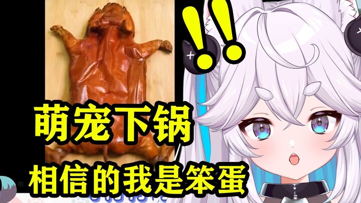 日V狐娘看萌宠区UP主，相信正常的我是笨蛋