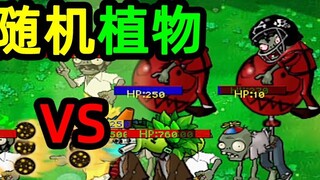 5 cây ngẫu nhiên VS 5 zombie ngẫu nhiên! Ai có thể giành chiến thắng trong 10 vòng chiến đấu? Vấn đề