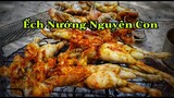 Đặc Sản Món Ếch Ngon Vùng Cao | frog meat many dishes | Ẩm Thực Vùng Cao Vlog