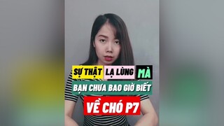 Chó có nhìn được màu sắc không? cho thucung education LearnOnTikTok thybian