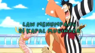 Law Menumpang Di Kapal Mugiwara