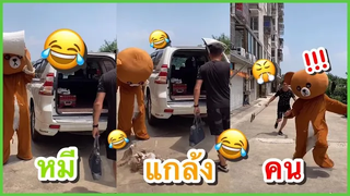 คลิปตลกสุดฮา หมีแกล้งคน รวมคลิปตลกจีน ที่ช่อง YouFin555