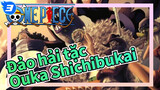 Đảo hải tặc |Không ai thật sự nghĩ Ouka Shichibukai là đồ khốn!_3
