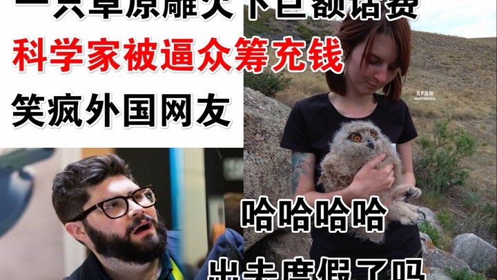 一只草原雕欠下巨额话费，科学家被逼众筹充钱！笑疯外国网友