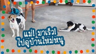 โลกของแสนดี ตอน แสนดีย้ายบ้านแล้ว