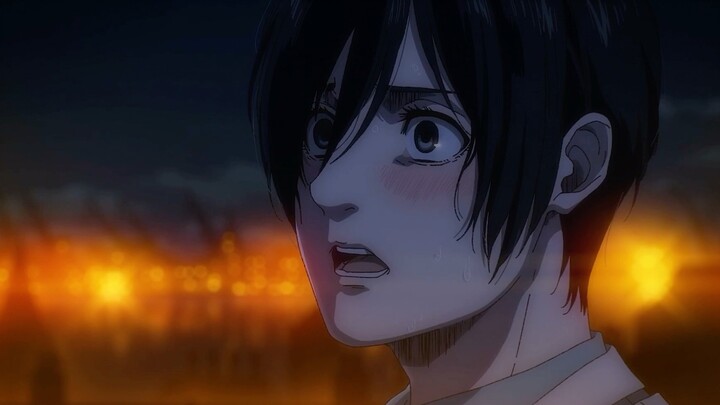 "Mikasa, who am I... to you?" "You are... one by one."