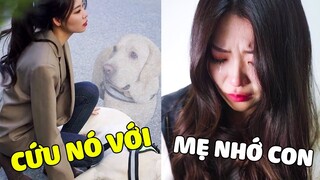 Đa Đa | Đa Đa Gặp " TAI NẠN " Xe Không Qua Khỏi 😥, Dậy Với Mẹ Đi... 😥Gâu Đần Official