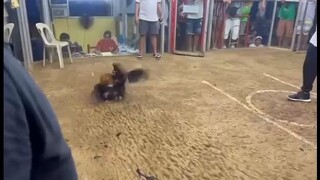 BUTI NAKA UNA SA ANGATAN.