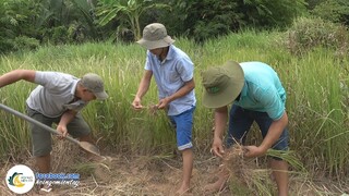 NƯỚC MÁT GIẢI NHIỆT | Hội Ngộ Miền Tây - Tập 125