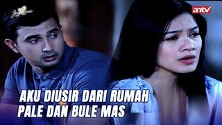 Semua Juga Salah Aku Mas | Janji Suci ANTV Eps 18 (5/5)