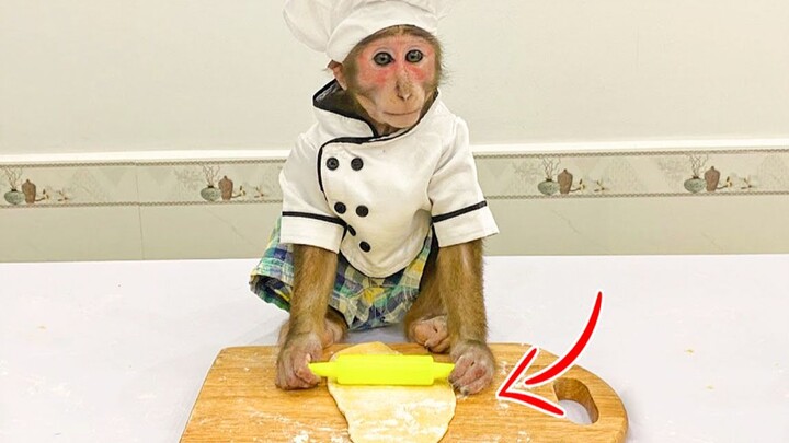 Thú cưng dễ thương | Khỉ yoyo lần đầu tiên làm bánh