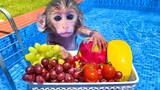 Baby monkey Bon Bon playing in the pool with puppy and eating fruits