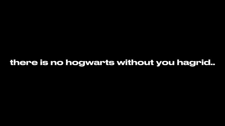 we miss you hagrid..