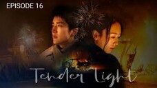 🇨🇳 | EP 16 Tender Light (2024) English Sub