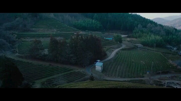 The Call ( 2020 )