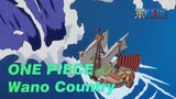 ONE PIECE  Fighting in Wano Country