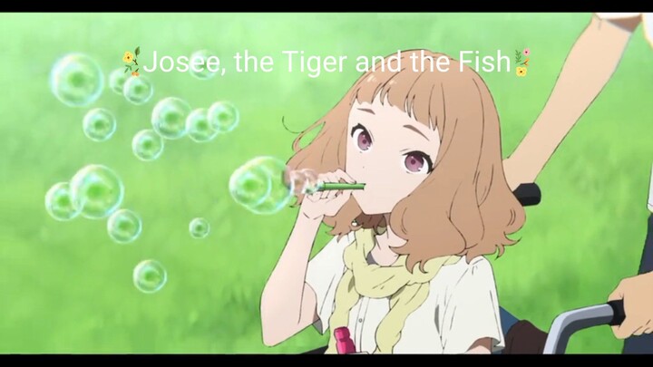 Josee, the Tiger and the Fish