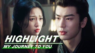 Highlight EP17：Gong Ziyu Learned the Truth that Yun Weishan Came from Wufeng | 云之羽 | iQIYI