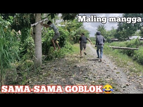 Video lucu- SAMA-SAMA GOBLOk😂😂| Tiko sausu