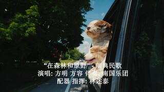 ”在森林和原野“ -瑞典民歌 演唱: 方明 方容 伴奏: 南国乐团 配器 指挥: 林述泰 广州唱片公司录音