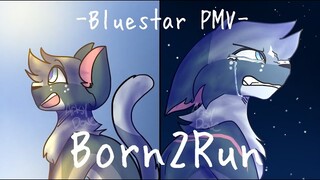 Born2Run -Warrior Cats Bluestar PMV-