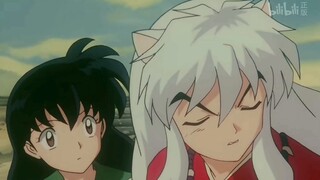 InuYasha InuYasha menyatakan cintanya kepada InuYasha sejak kita bertemu￫InuYasha cp sugar (edisi pe