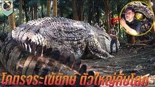 ดุดันไม่เกรงใจใคร โคตรจระเข้ยักษ์ ตัวใหญ่คับโลก สปอยหนัง The Blood Alligator