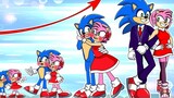 Sonic and Amy were a sweet couple, but a tragedy caused them to separate in tears.