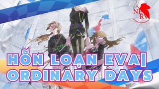 Hỗn Loạn EVA|【AMV/Mùa phim cuối】Ordinary Days