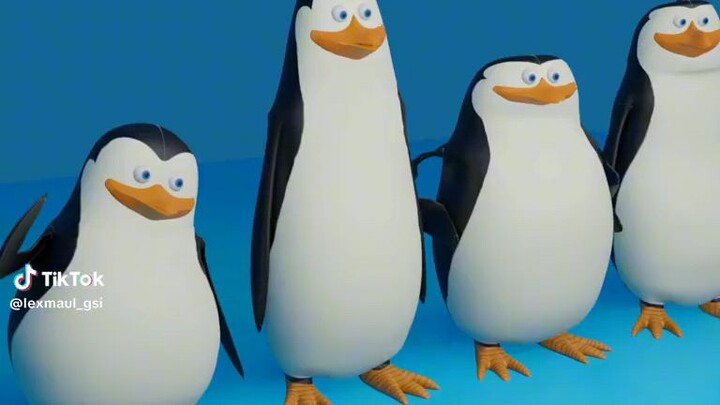 Madagascar penguins