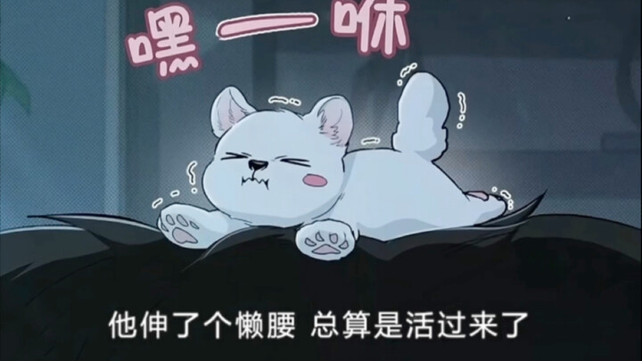 茶杯犬被折腾了一夜，狼王申请要求结婚！