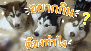 ของโปรดสองแสบ แกล้งก่อนกิน - ข้าวนึ่ง & เดอะแก๊ง