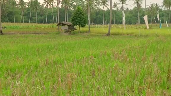 hiburan