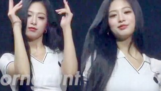 【BabyMonster】随舞跳BLACKPINK DDU-DU DDU-DU舞蹈！