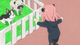 Anya and Pet | Spy x Family Episode 13