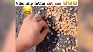 Việc nhẹ lương cực  cao#2