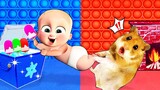 Boss Baby Hamster, Hot vs Cold Pop It Is It the Best? - Cartoon Hamster by Life Of Pets Hamham