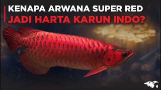 DISEBUT IKAN TERMAHAL, KENAPA SUPER RED AROWANA DISEBUT SEBAGAI HARTA KARUN INDONESIA?