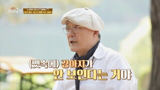 강아지가 안 보인다? 출산을 앞둔 시드니의 이상 신호..! 우리집 막내극장(youngest) 3회