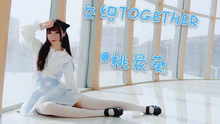 【桃衣葵】交织together 生日作~