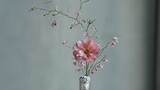 การจัดดอกไม้ในแจกันเรียบง่ายและสวยงาม [วีดีโอต้นฉบับ ห้ามขโมย]