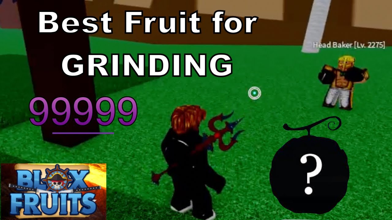 NOOB Uses WORST FRUIT In Roblox Blox Fruits! 