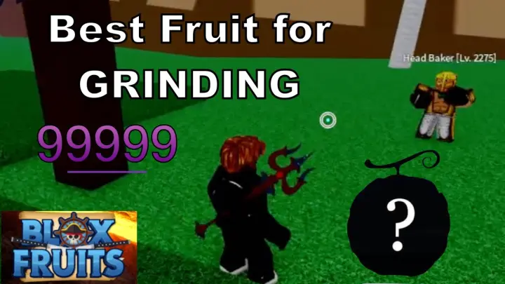 Best Fruit for Grinding in 2nd & 3rd Sea | Roblox