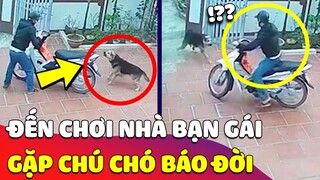 Phát hiện chú Chó là KẺ THÙ của người yêu con Sen,khi GIA ĐÌNH ĐỒNG Ý nhưng Boss thì KHÔNG 🤣 Gâu Đần