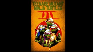 TEENAGE MUTANT NINJA TURTLES 3 (1993)