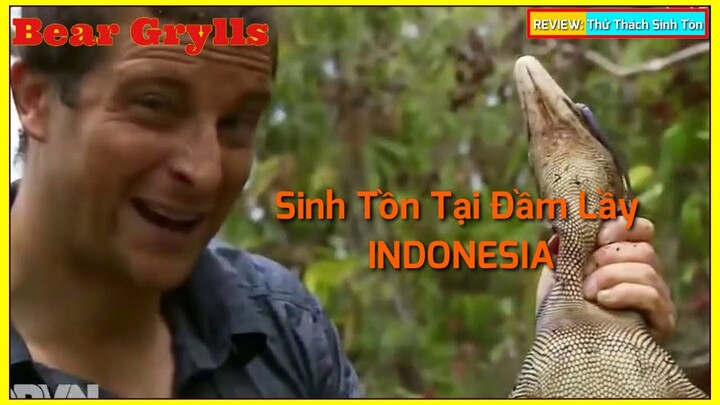 🇻🇳 REVIEW SINH TỒN CÙNG BEAR GRYLLS - Phần 4 || Thử Thách Sinh Tồn Trong Đầm Lầy Đầy Cá Sấu.